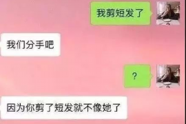 双鸭山专业讨债公司有哪些核心服务？